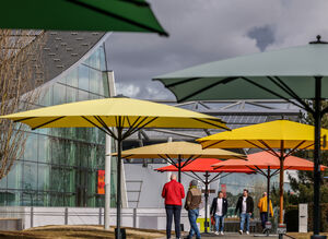 Bahama parasol avenue Bahama parasol avenue