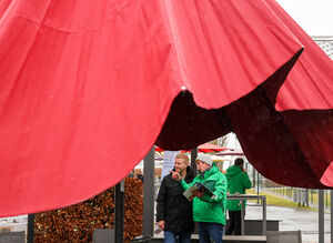 Caravita Caravita parasol