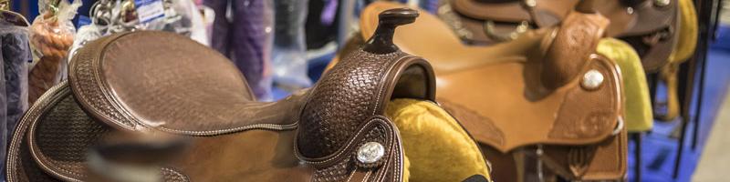 Reitsportmesse Special