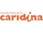 caridina