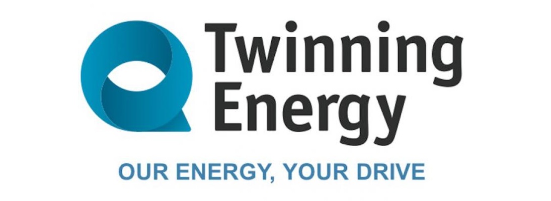 Twinning Energy