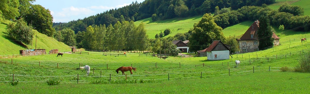 Leinfelden-Echterdingen – die schönste Seite der Filder
