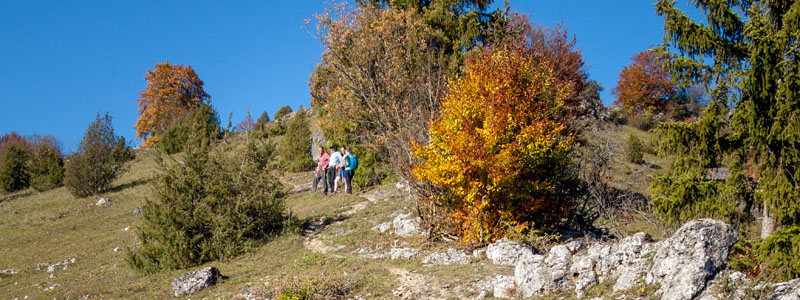 Campingland Baden-Württemberg