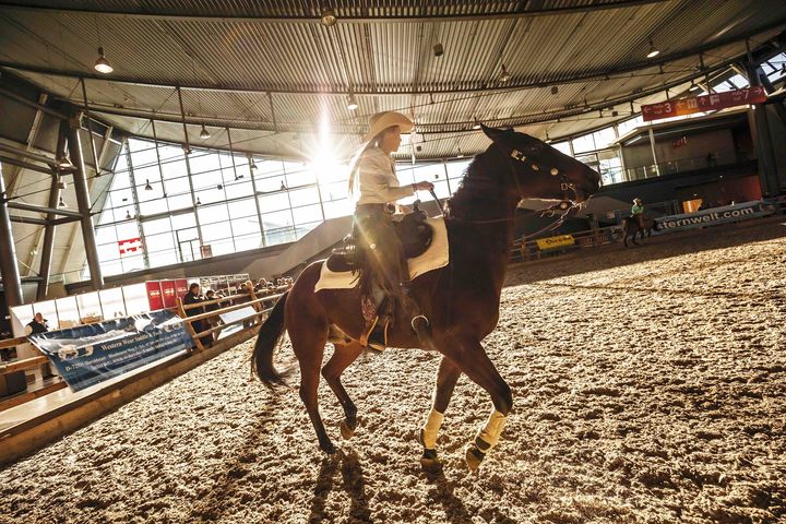 Premiere auf der ANIMAL und Vorgeschmack auf die Reitsportmesse im Frühjahr: Das Reitsport-Outlet! ? Von Zügel und Sattel bis hin zu Futter und Streu - hier finden Pferdefreunde alles, was sie für sich und ihrem tierischen Liebling benötigen. ??...
