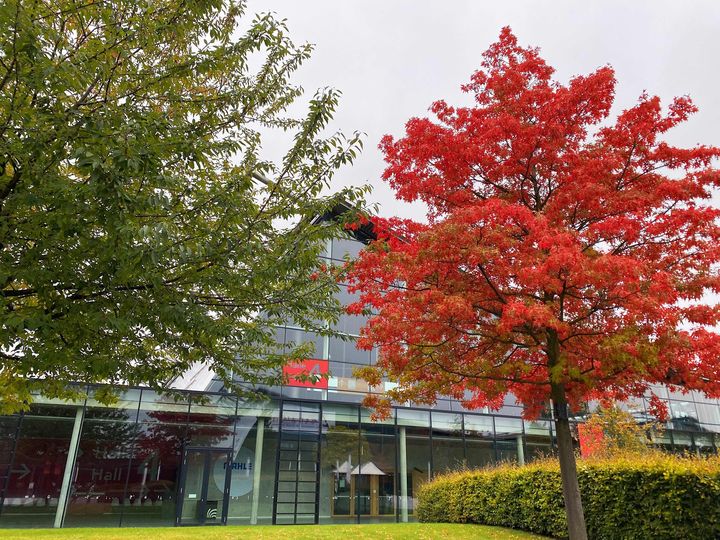 Bunte Grüße aus unserem Rothauspark. ?? Der Herbst ist nun auch auf unserem Messegelände angekommen - die Bäume verfärben sich in kräftigem Rot. ?  Wir wünschen euch ein schönes Wochenende! Was habt ihr vor?