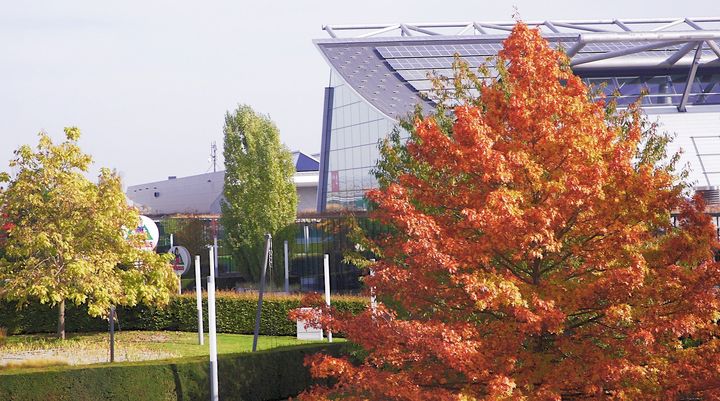 Wir wünschen euch mit diesem sonnigen Herbstbild aus unserem Rothauspark einen schönen Sonntag. ??? Genießt den Tag!