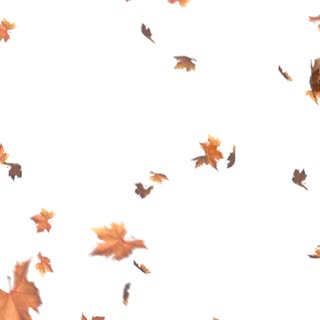 Wenn die Blätter an den Bäumen bunt werden, steigt bei uns die Vorfreude.🍁🍂Denn dann steht der Stuttgarter MesseHerbst bald wieder vor der Tür.🤩 Vom 18. - 21. November stehen bei der Familienmesse wieder Spaß, Emotionen und Mitmachen im Vordergrund. Na...