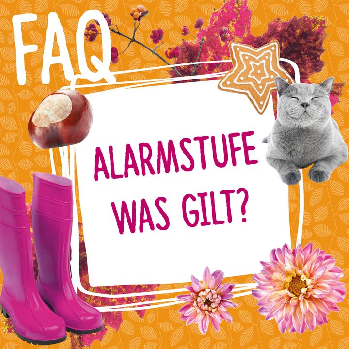 Seit heute tritt landesweit die Alarmstufe in Kraft. Wie versprochen, informieren wir euch darüber, was ihr für unsere Veranstaltungen wissen müsst.

?Das Wichtigste zum Start: Unberührt von der Alarmstufe, finden unsere Veranstaltungen regulär statt,...