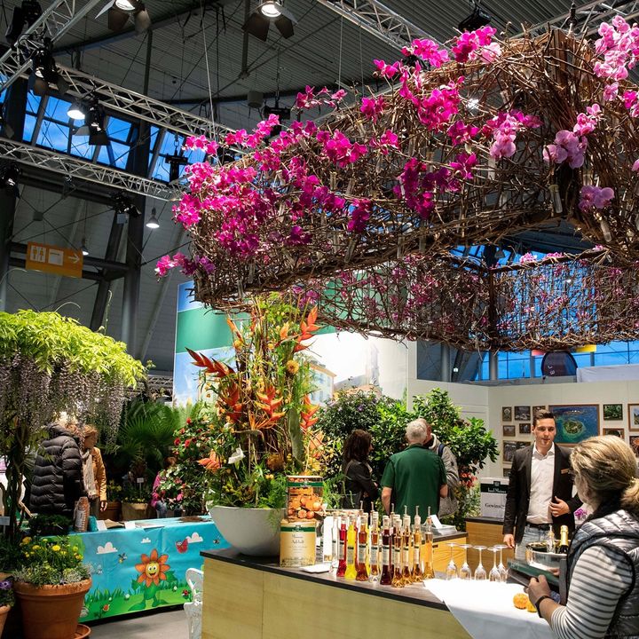 Grünes Licht für unsere Frühjahrsmessen!🙌
Der Messeverbund aus den Veranstaltungen GARTEN inklusive BBQ-Days, die Slow Food Messe, Fair Handeln, i-Mobility und HAUS|HOLZ|ENERGIE findet vom 21.-24. April bei uns statt.🌻🥗🚲 Dieses Jahr wird erstmals auch...