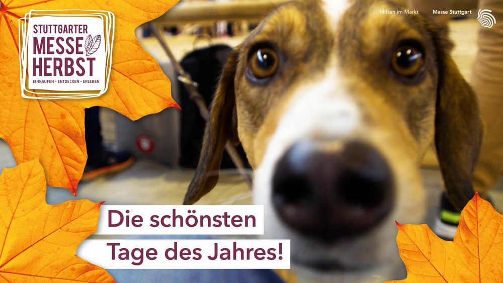 Vier Tage lang hat uns der Stuttgarter MesseHerbst verzaubert.? Ob Spielmesse oder Designfest, ob Familie&Heim oder ANIMAL, die Stimmung war in allen Hallen positiv und ausgelassen.? Die zehn Veranstaltungen haben eingeladen zum Spielen, Zuschauen, Mit...