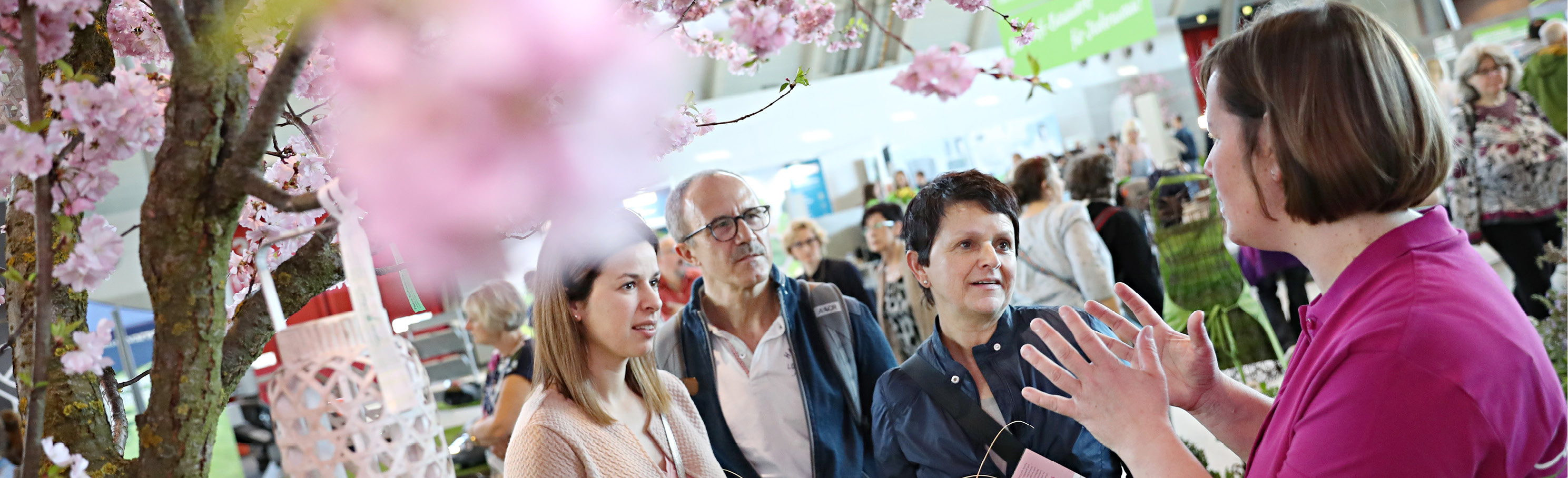 Outdoor und Ambiente