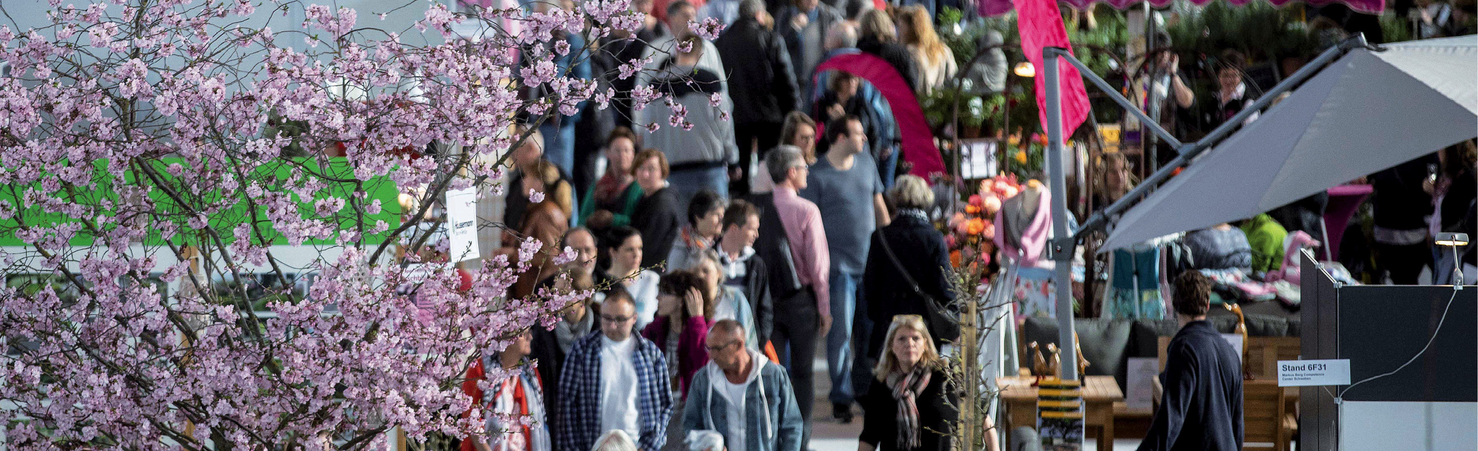 Von A wie Augenweide bis Z wie Zeitgeist
