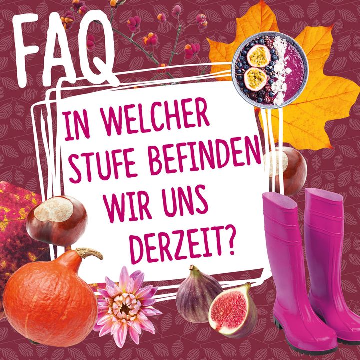 Nicht mehr lange und dann ist es soweit: Am Donnerstag startet die KREATIV im Rahmen des Stuttgarter MesseHerbst! ?? Wir freuen uns, euch durch das Safe-Expo-Hygienekonzept der Messe Stuttgart die Rahmenbedingungen für einen sicheren und entspannten Au...