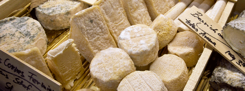 Käse-KönnerInnen