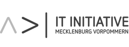 IT-Initiative MV