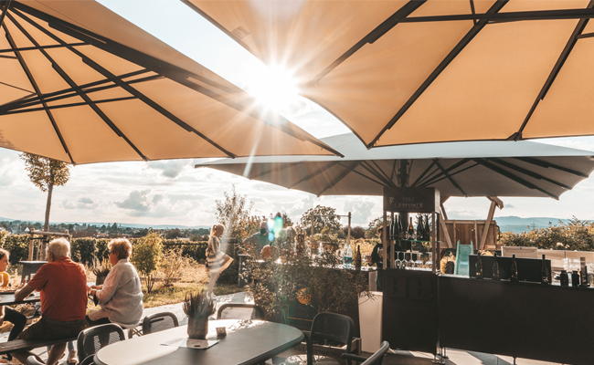 Permanent installation of large sunshades, Hirt-Gebhardt winery, Eltville