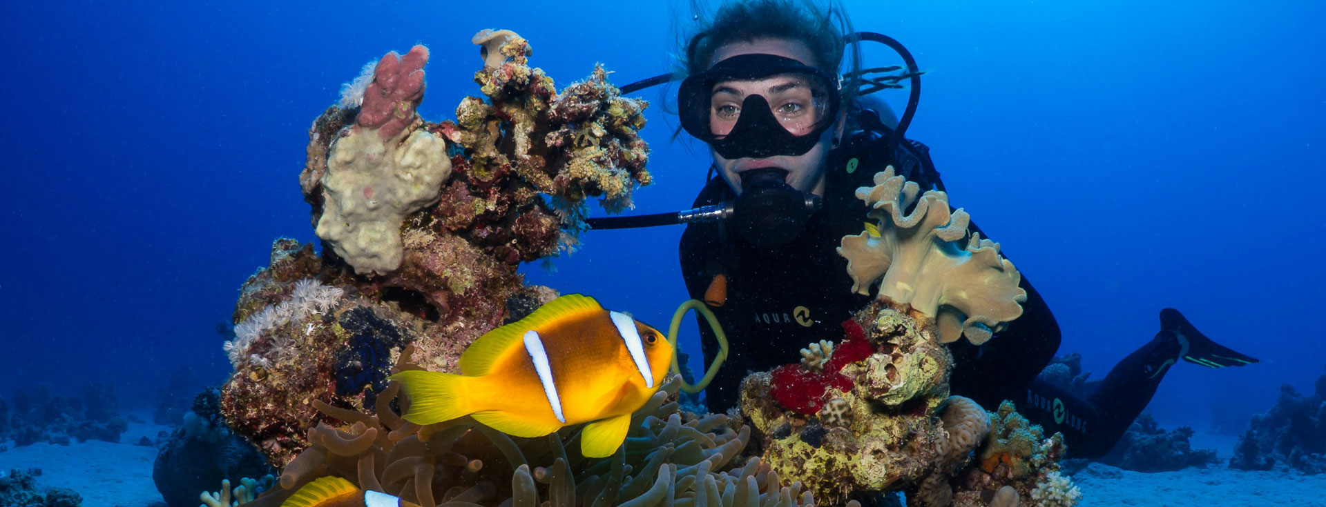 InterDive