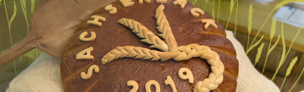 Rückblick 2019