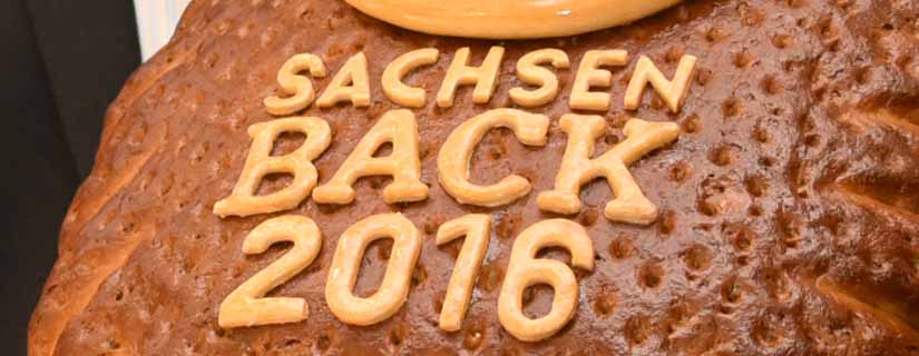 Rückblick 2016