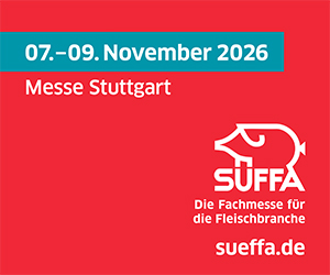 Banner 300x250 individuell deutsch