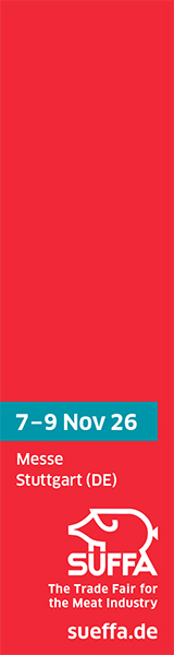 Banner 160x600 individuell englisch