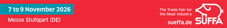 Banner 728x90 individuell englisch