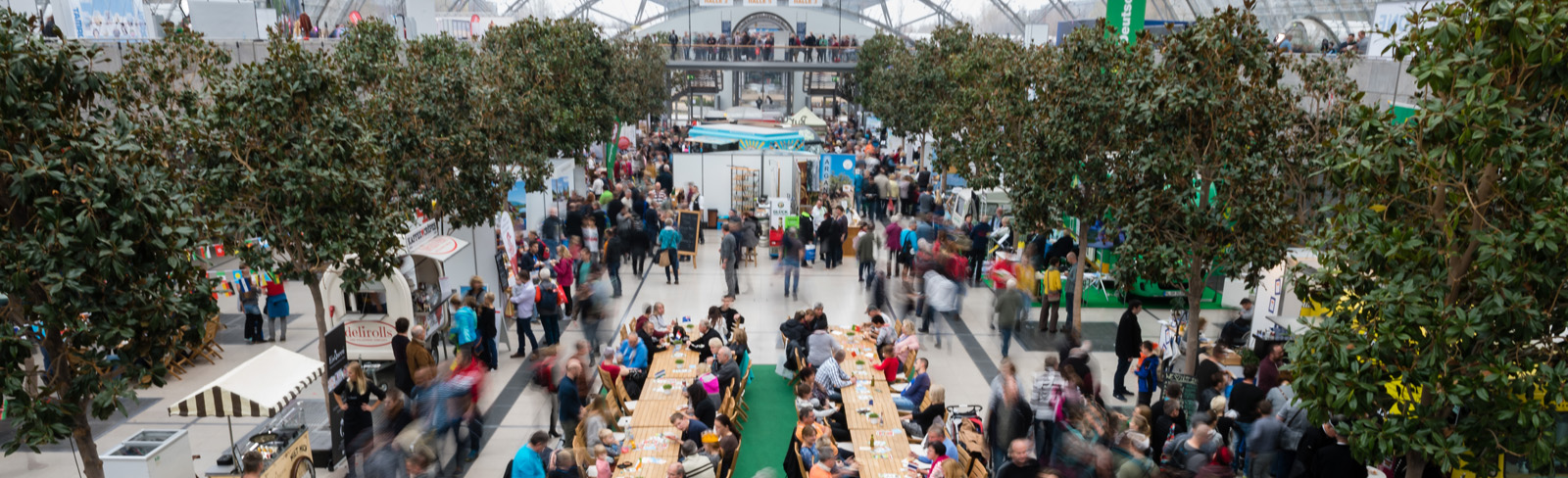 Embark on a culinary world tour