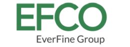 EFCO Electronics GmbH
