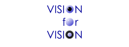 Vision for Vision