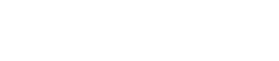 Volta-X 2025 Logo EN