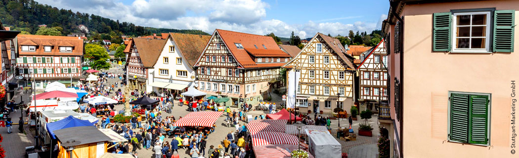 Region of Stuttgart